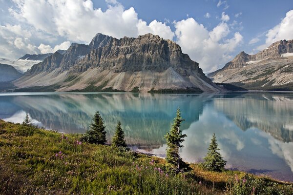 Fiori insoliti vicino al lago in Canada. Montagne e Lago