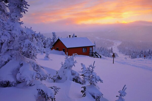 A lonely red house in a winter forest on a hill against the sunset