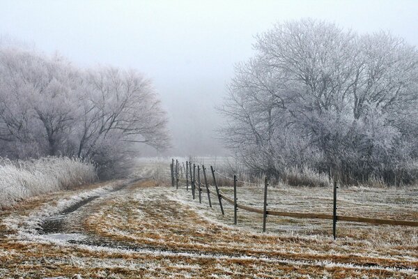 Fields and trees on the outskirts covered with frost