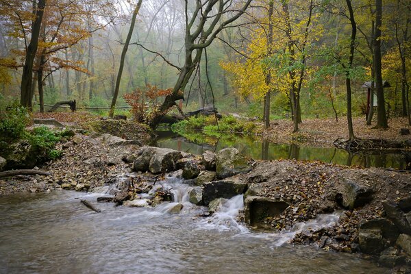 Маленький водопад к в осеннем лесу