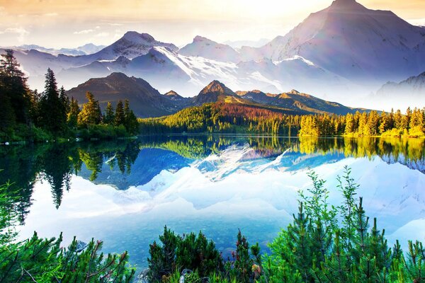 Paysage: les sommets des montagnes et les arbres se reflètent dans le lac clair