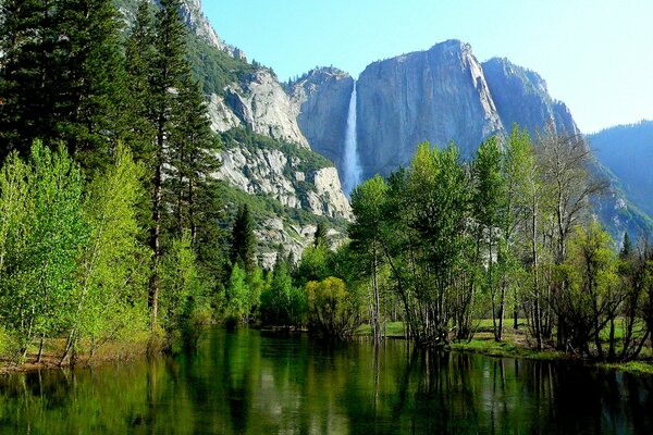 Yosemite-Nationalpark mit Bäumen und Felsen