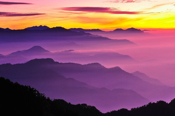 Brouillard mauve couvrant les collines sur fond d aube jaune vif