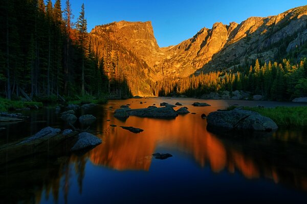 Die Berge. Der Fluss. Wald. Die Natur