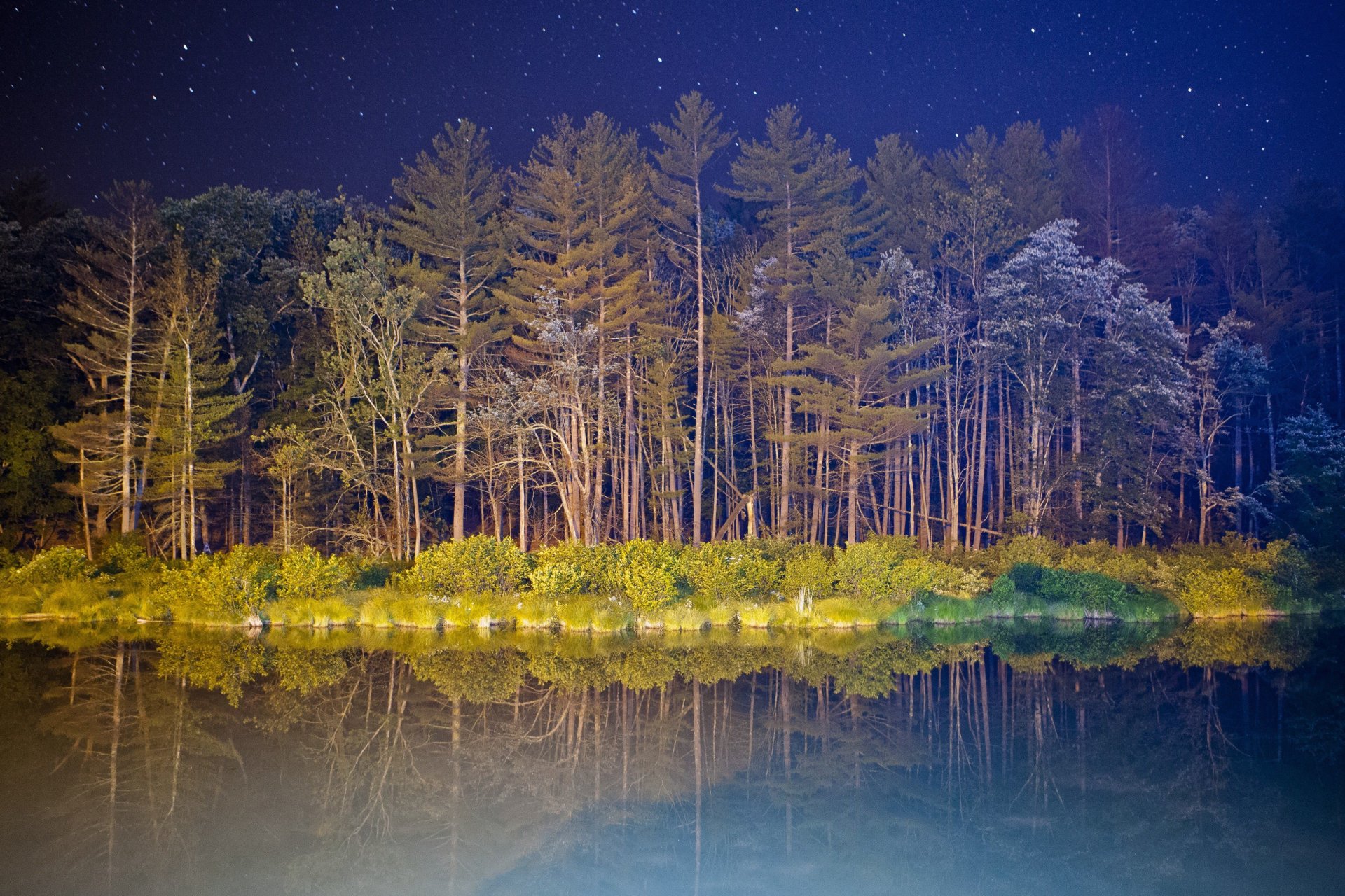 night star light sky tree bush lake water reflection google nexus android kitkat