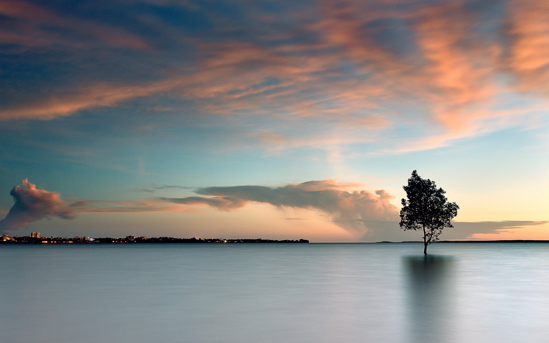 lake tree landscape