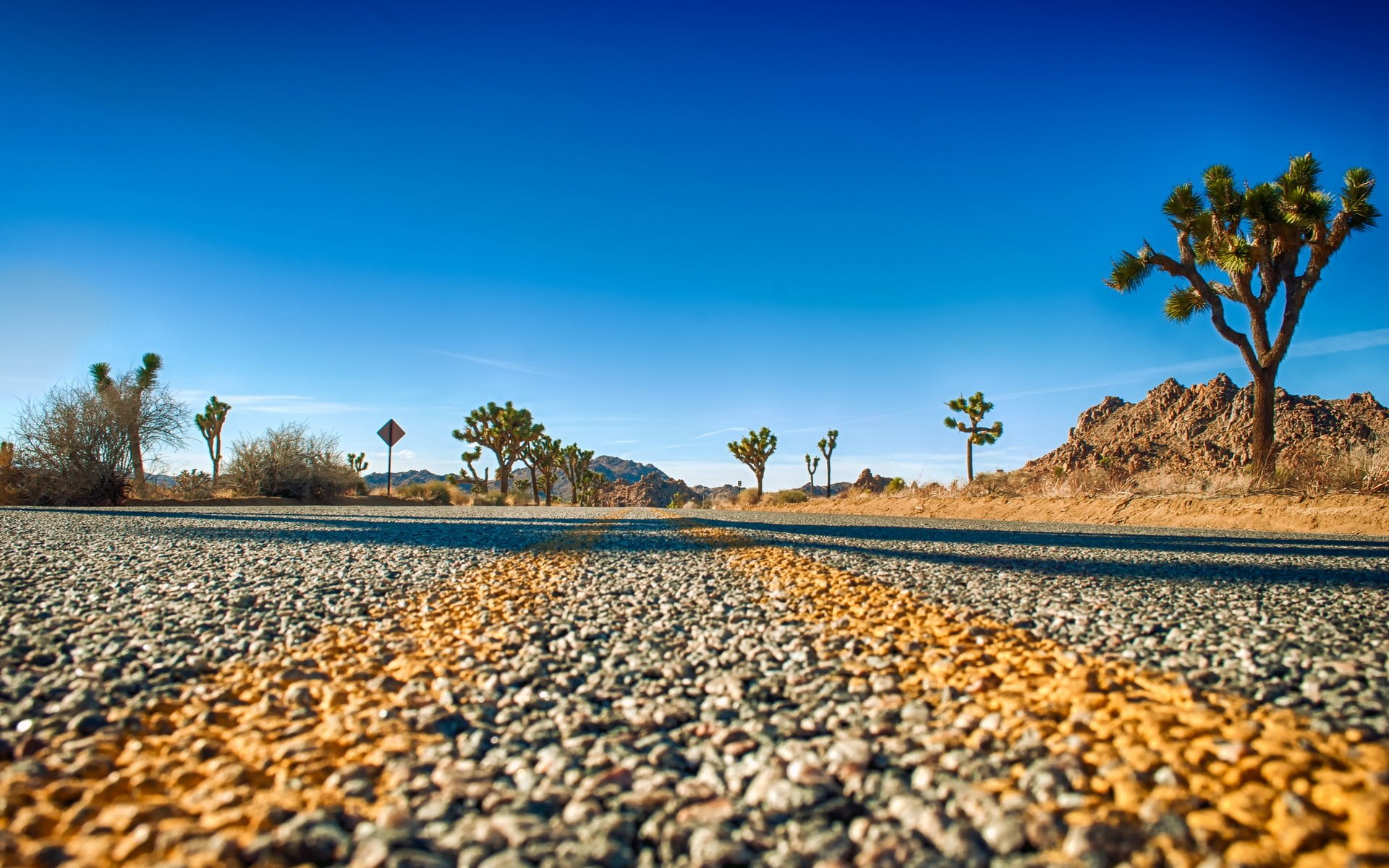 joshua tree national park carretera horizonte