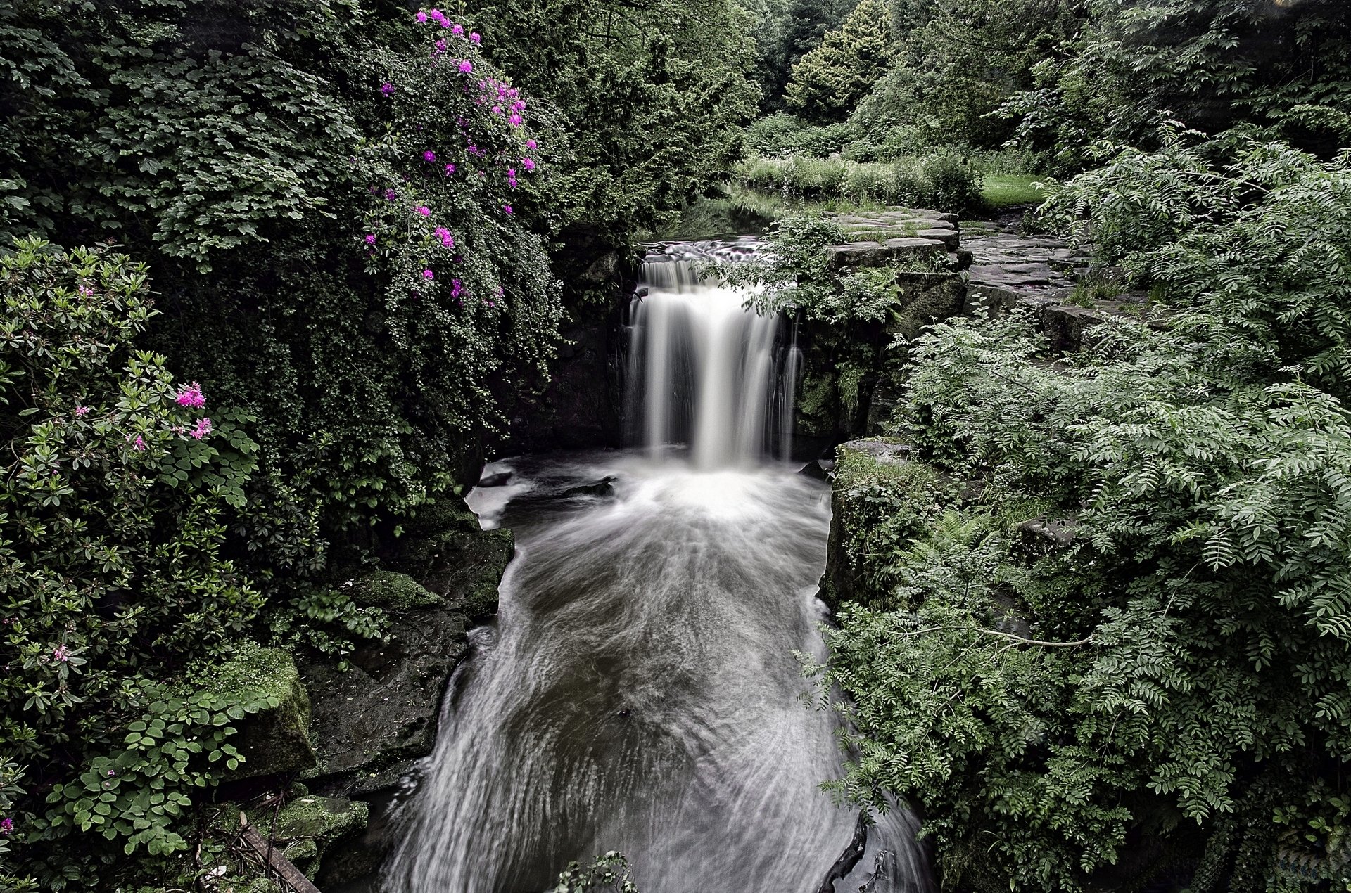 cascada de jesmond dene newcastle inglaterra cascada bosque arbustos