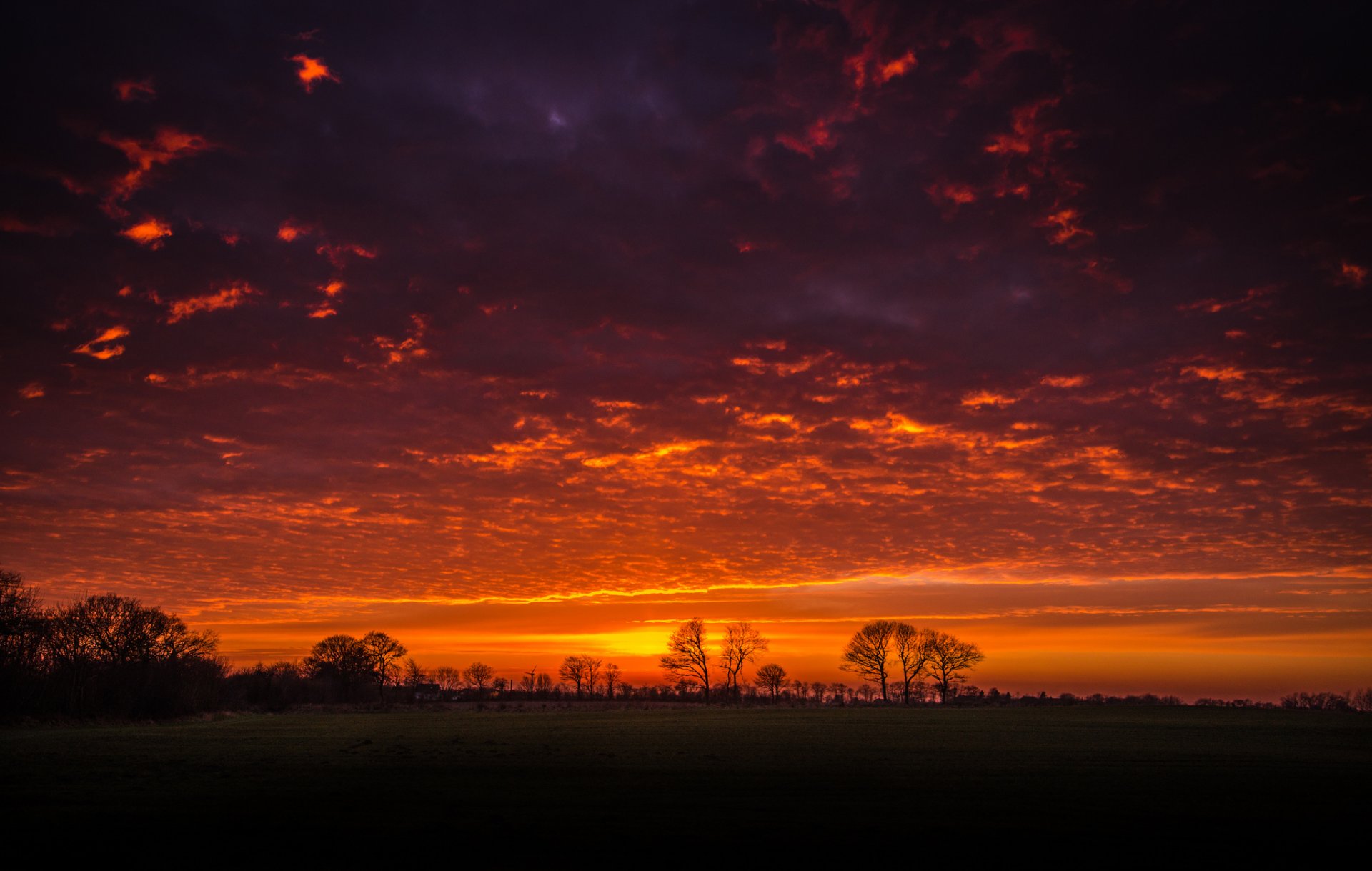 paesaggio natura tramonto cielo nuvole alberi sagome rami