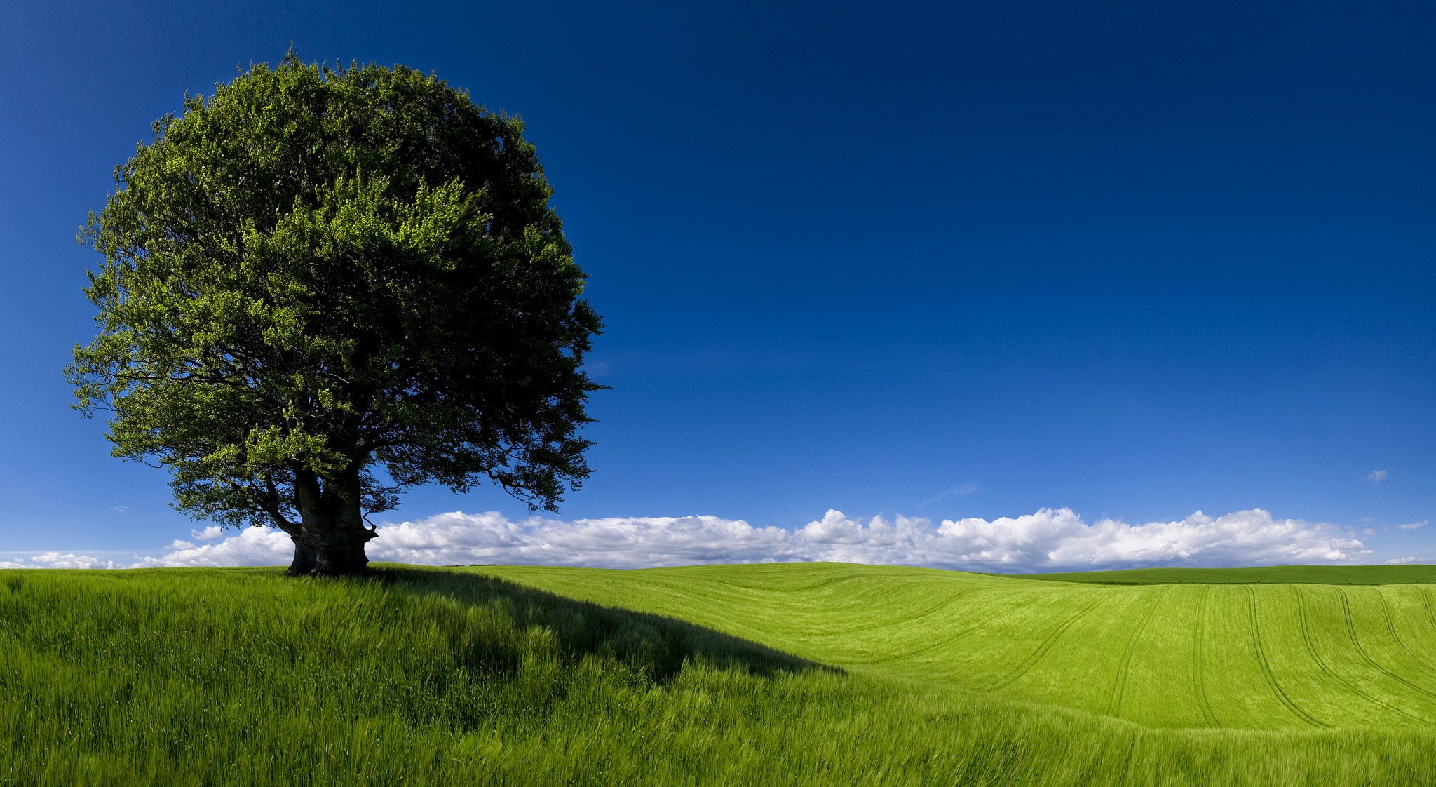 horizontes verdes paisaje campos cardiff newpor