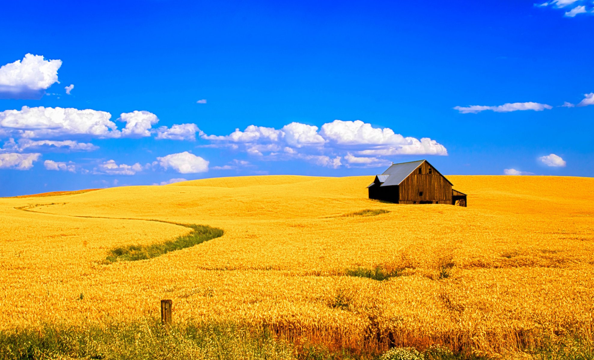 campo trigo casa cielo nubes paisaje