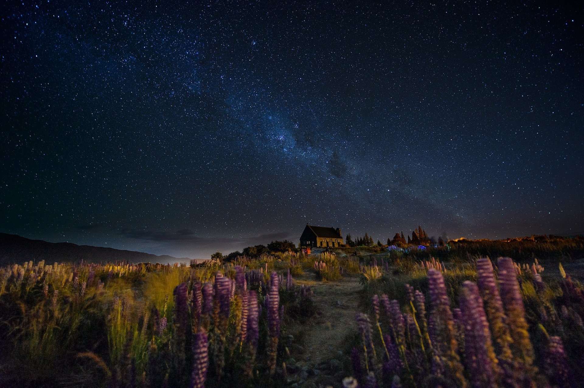 neuseeland nacht himmel milchstraße hügel haus weg blumen lupinen wind