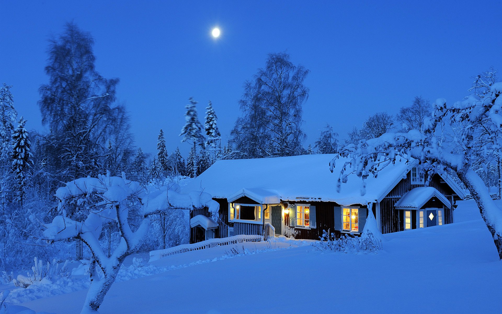 winter nacht dalarna schweden schrott winter schnee wald bäume mond licht lichter