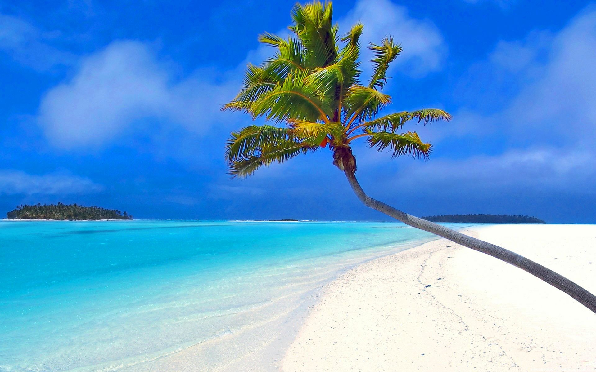 tropici cielo mare oceano isola sabbia spiaggia palma