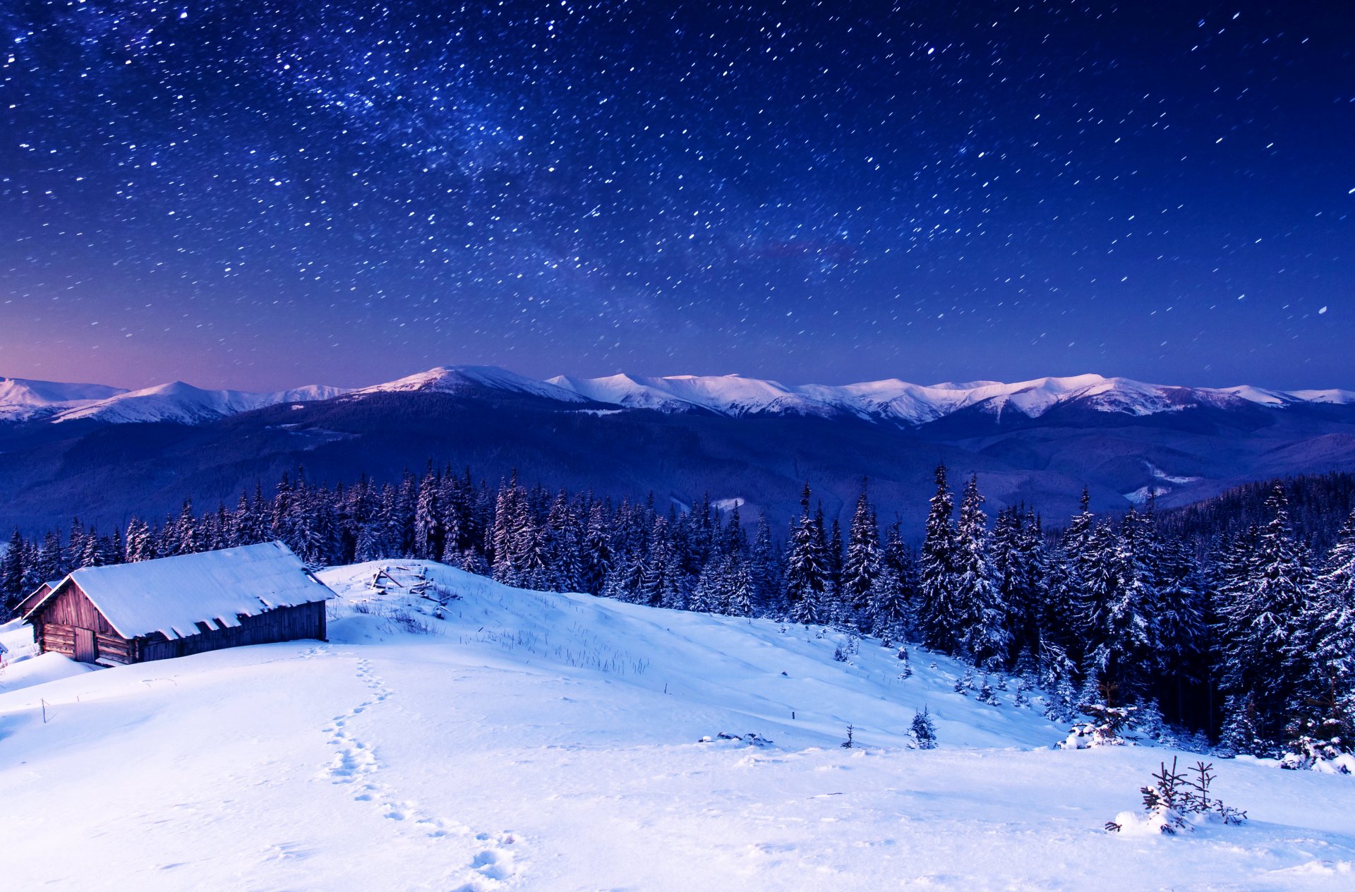 forest mountain tree snow winter sky house