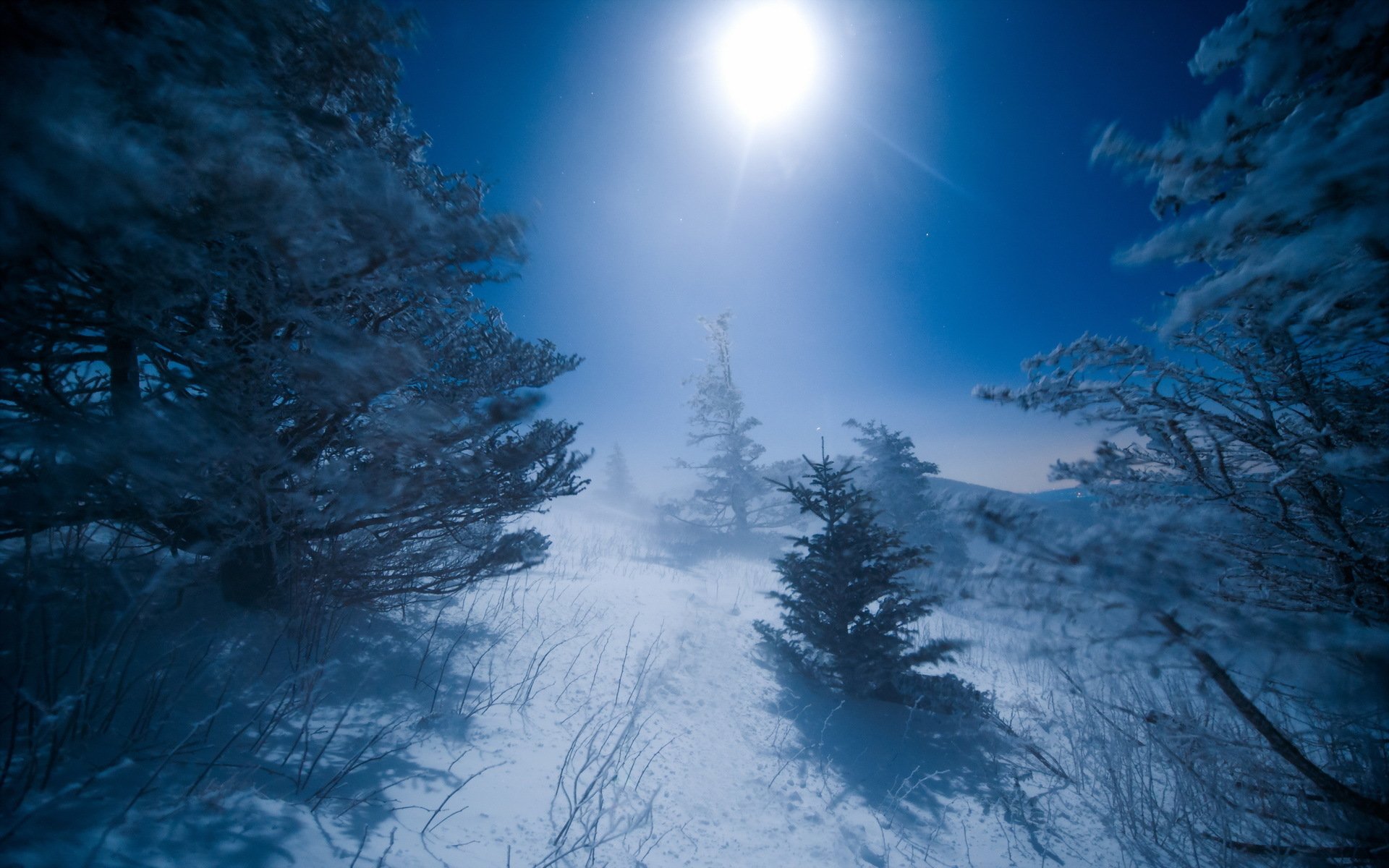 nacht winter mond landschaft