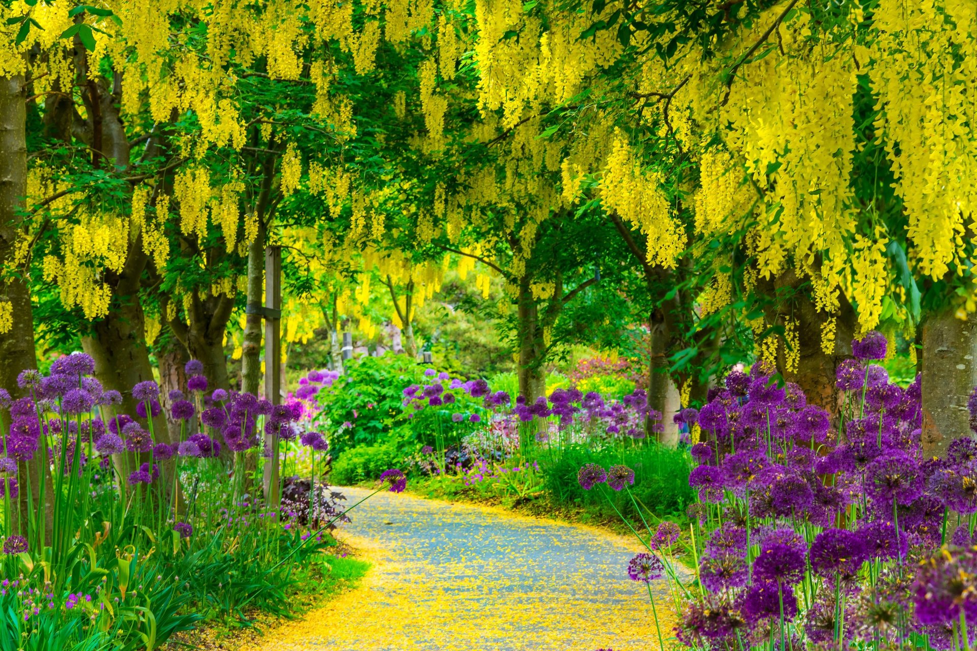 landschaften straße blumen park sommer bäume