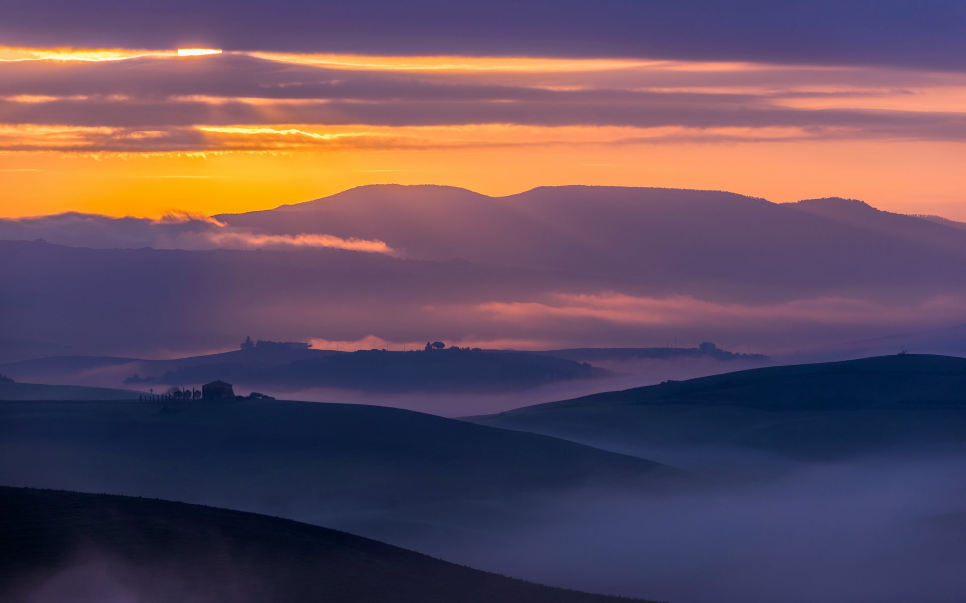 feld nebel landschaft