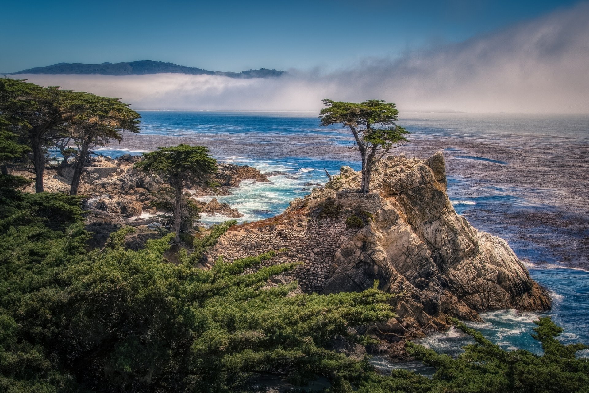 pebble beach калифорния одинокий кипарис кармель бей 17-мильный двигатель пеббл бич залив скала деревья кипарисы побережье