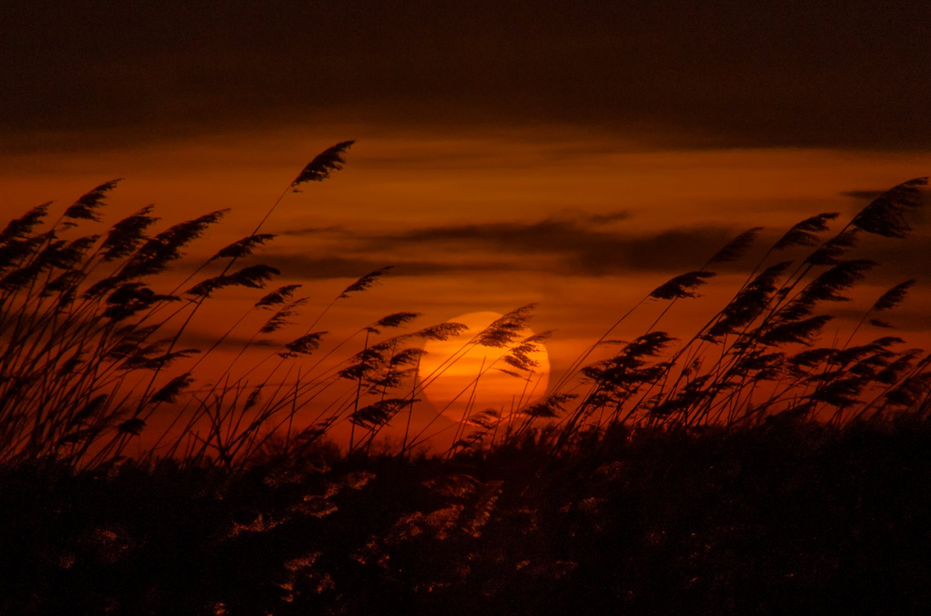 tarde puesta de sol sol disco kamish