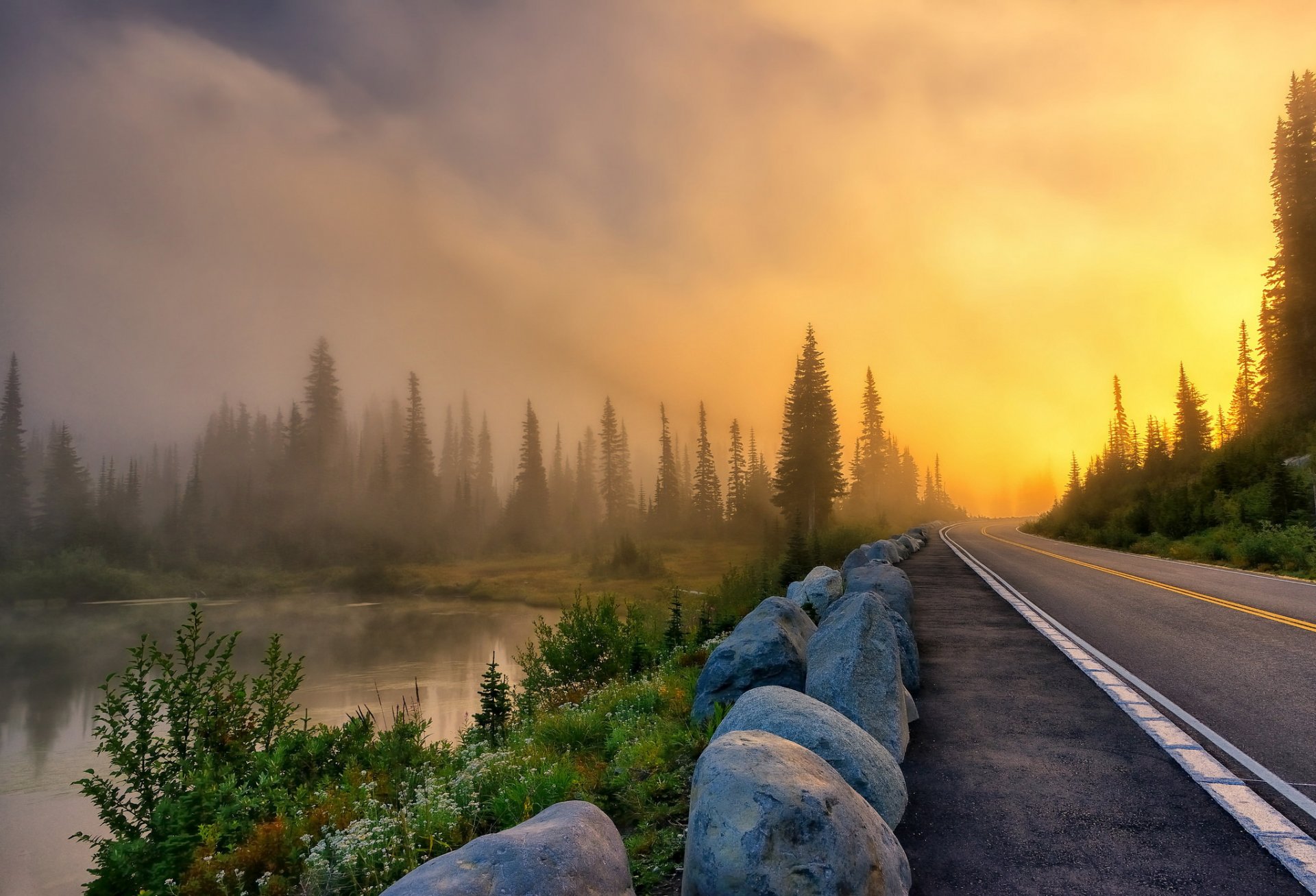 route brouillard paysage