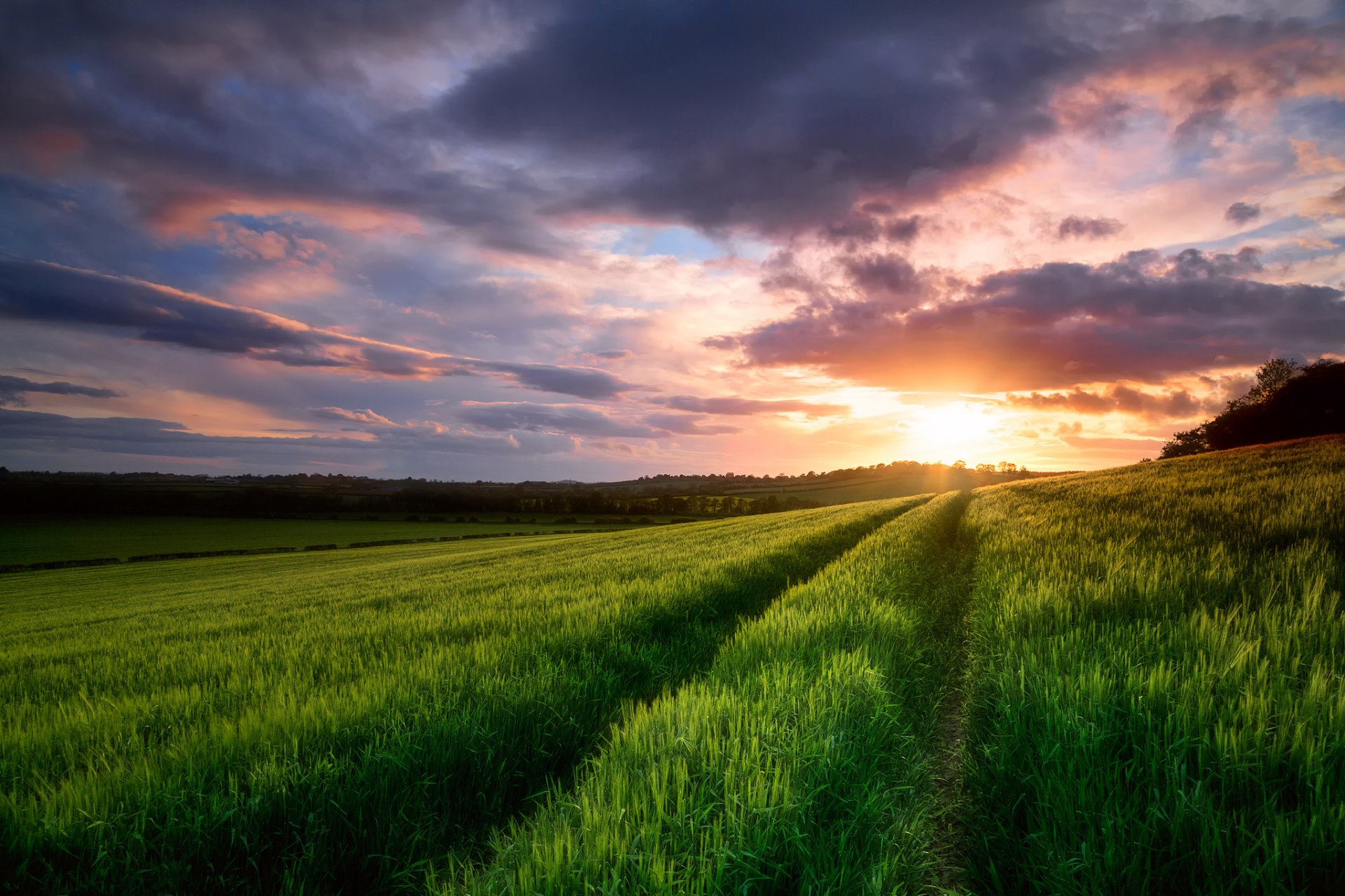 cielo nuvole sera tramonto campo primavera maggio