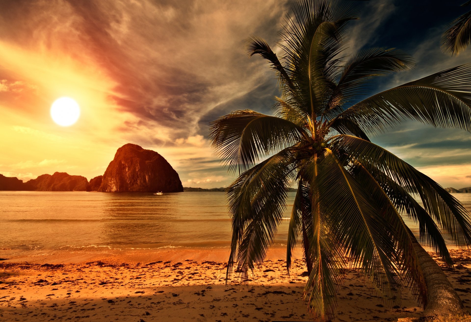 tropical beach palm tree sunset ocean sea clouds sky beach shore nature landscape crying palm sand tropical beach palm trees sun crying palm tree