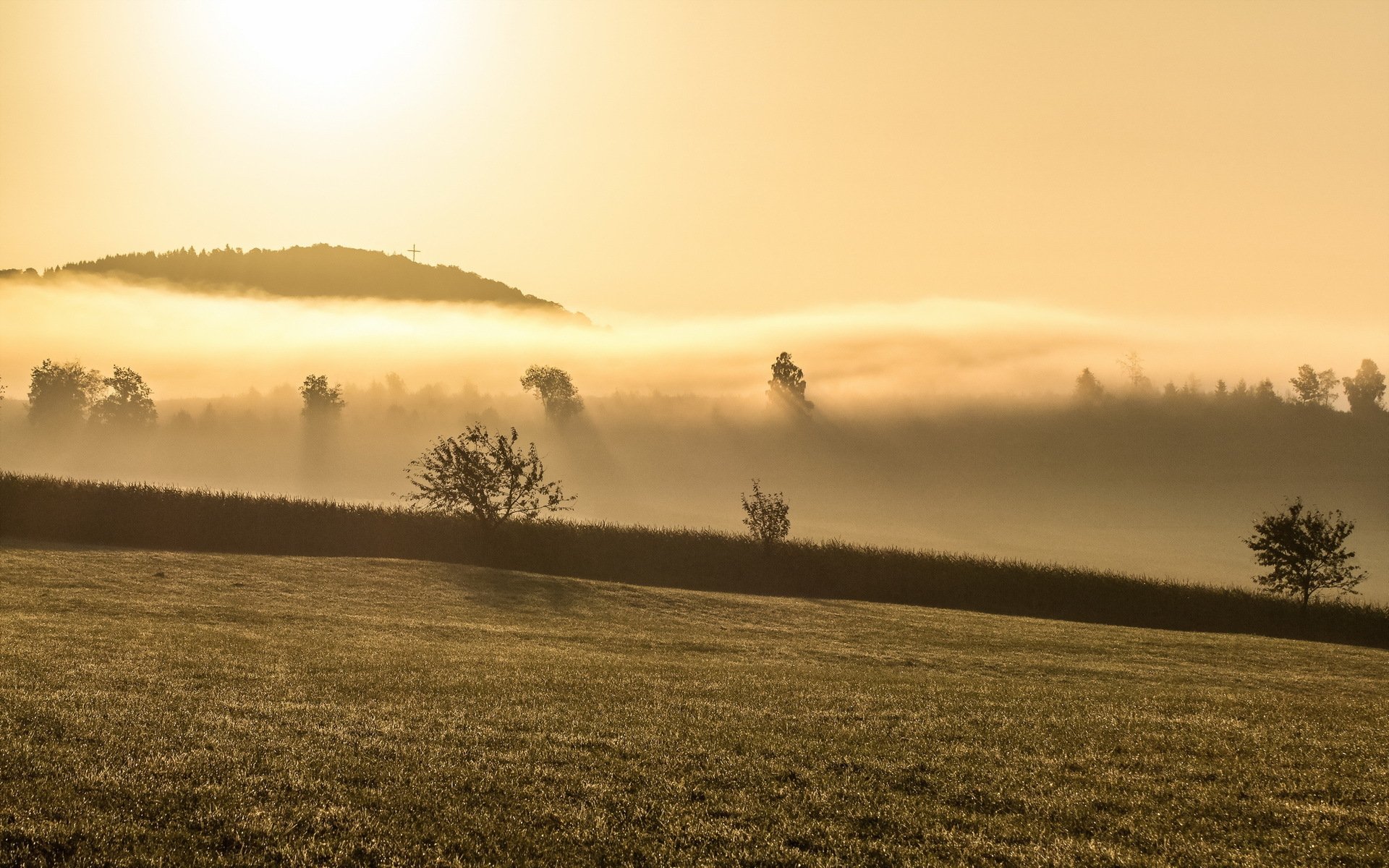 morgen nebel landschaft