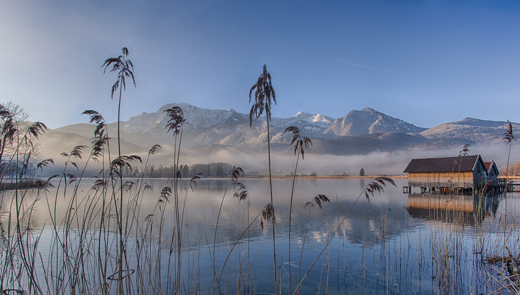 eichsee bayern deutschland see morgen nebel