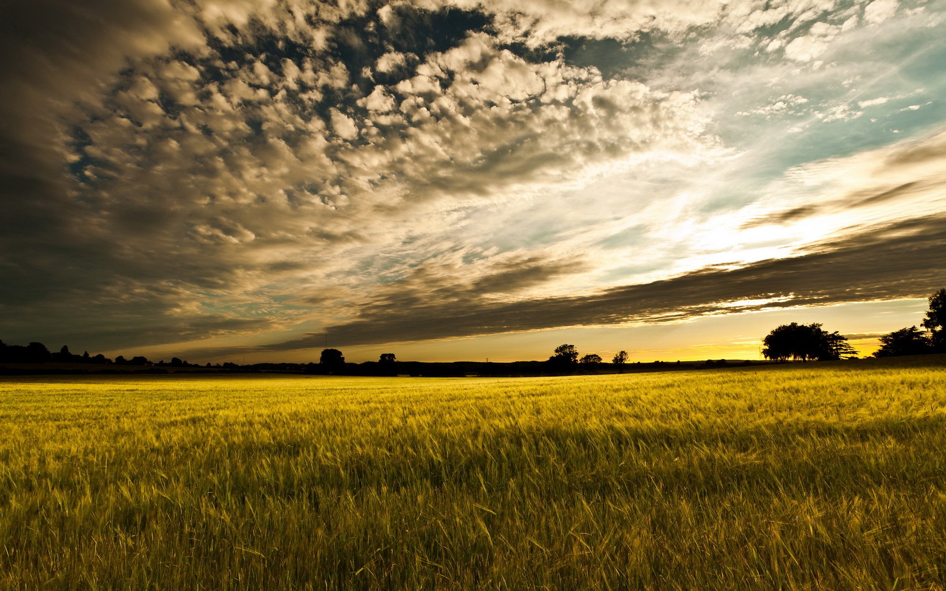 champ coucher de soleil paysage