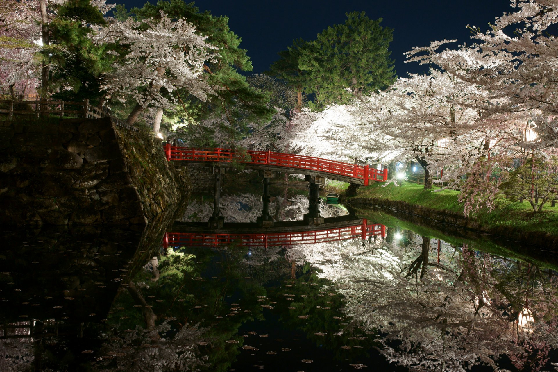 giappone parco giardino alberi fiori primavera notte luce stagno ponte