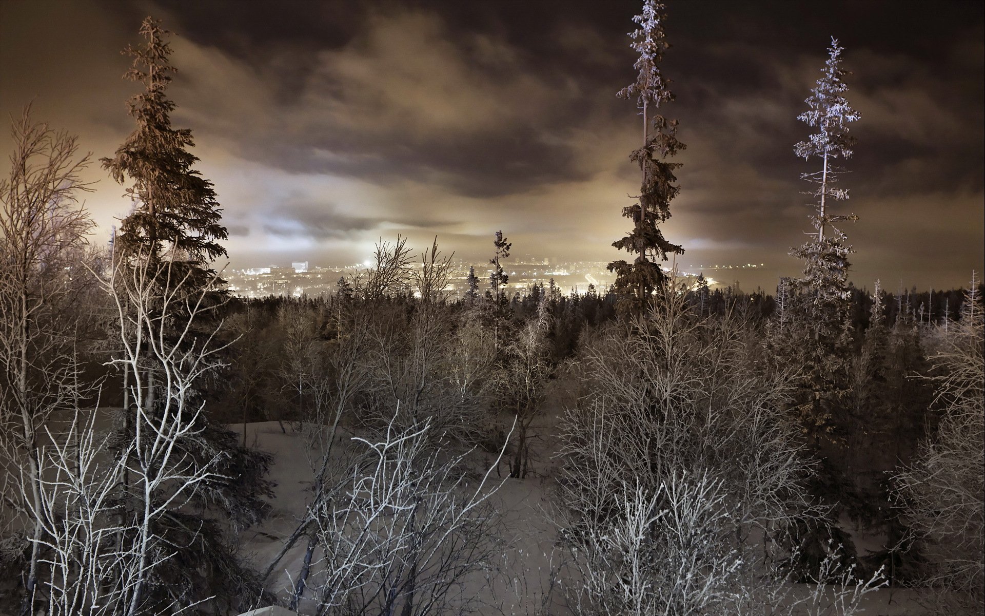 inverno foresta città paesaggio