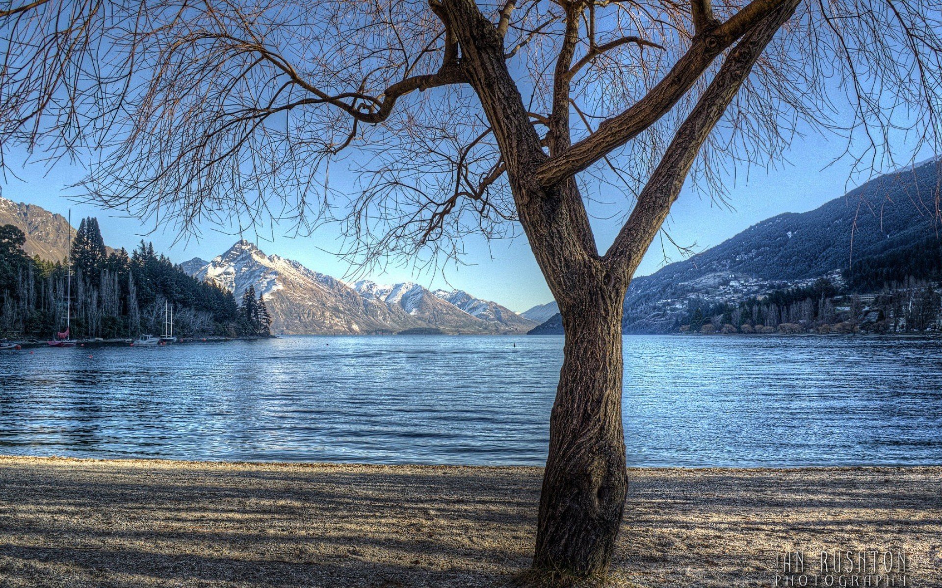 lake tree mountains forest trees shore nature photo photographer ian rushton