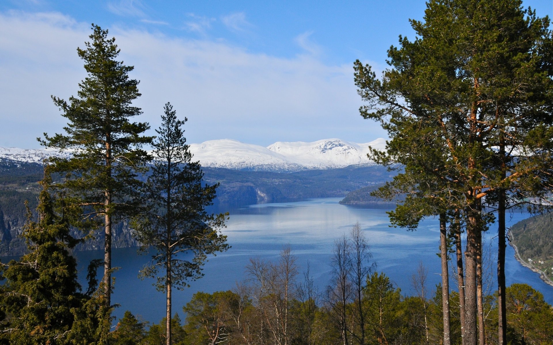 norvegia fiordo montagne alberi