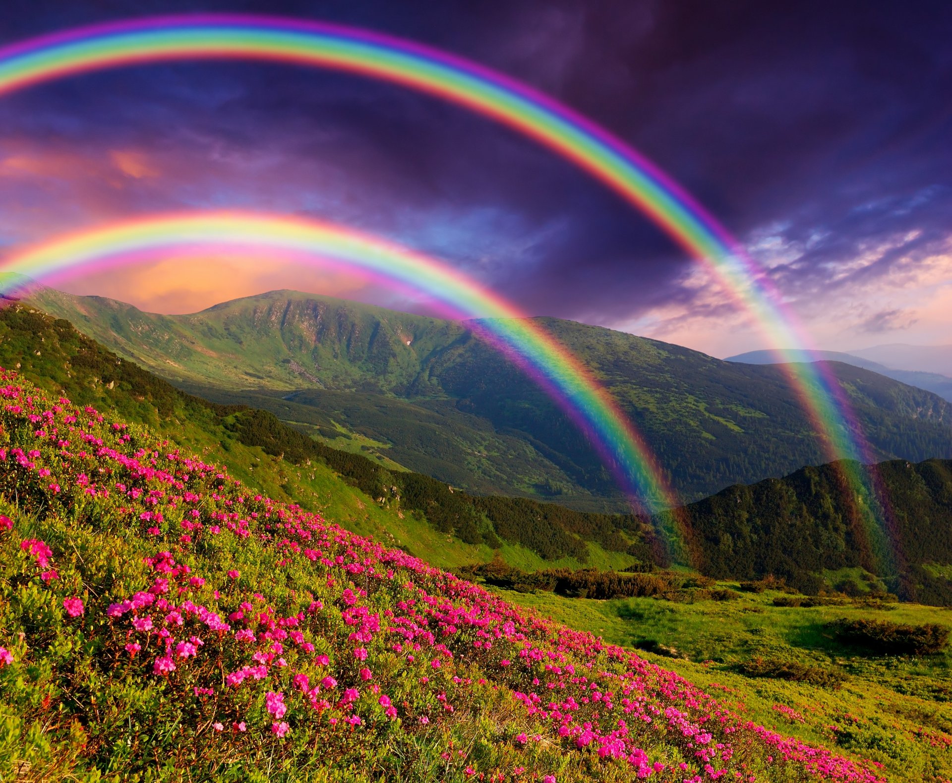 nature landscape mountains flowers rainbow rainbow