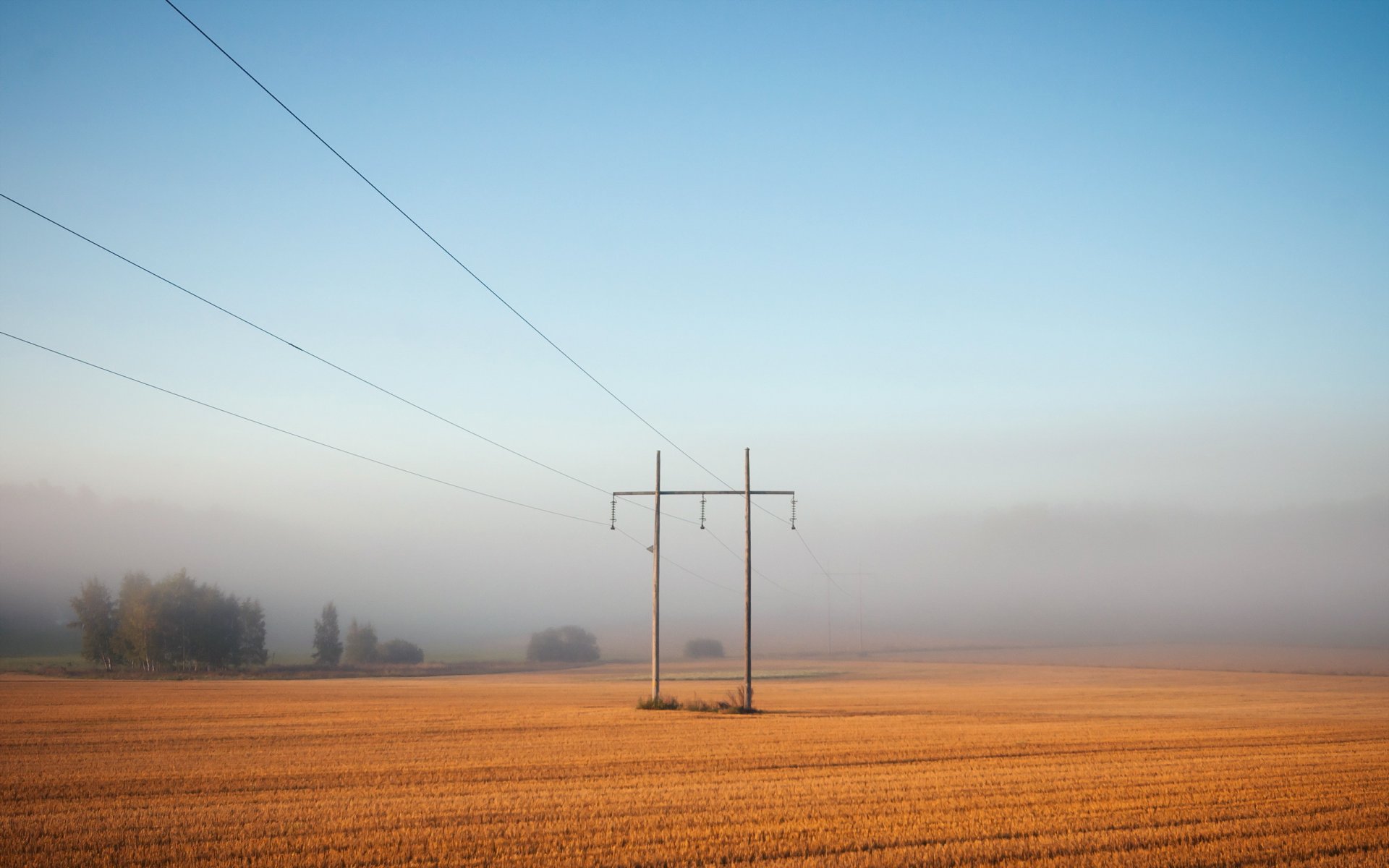 the field fog lap landscape