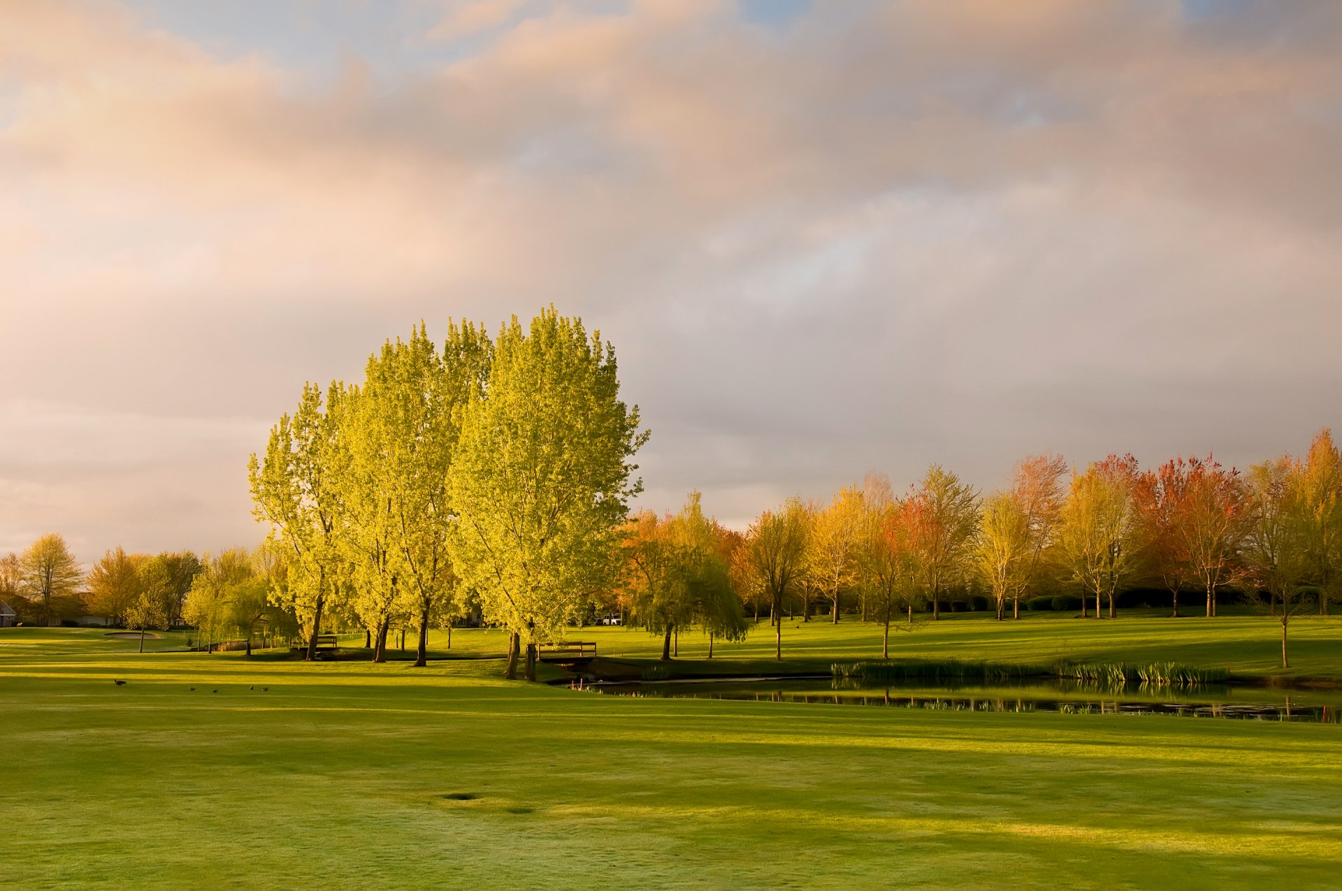 niebo chmury drzewa jesień staw most trawa park