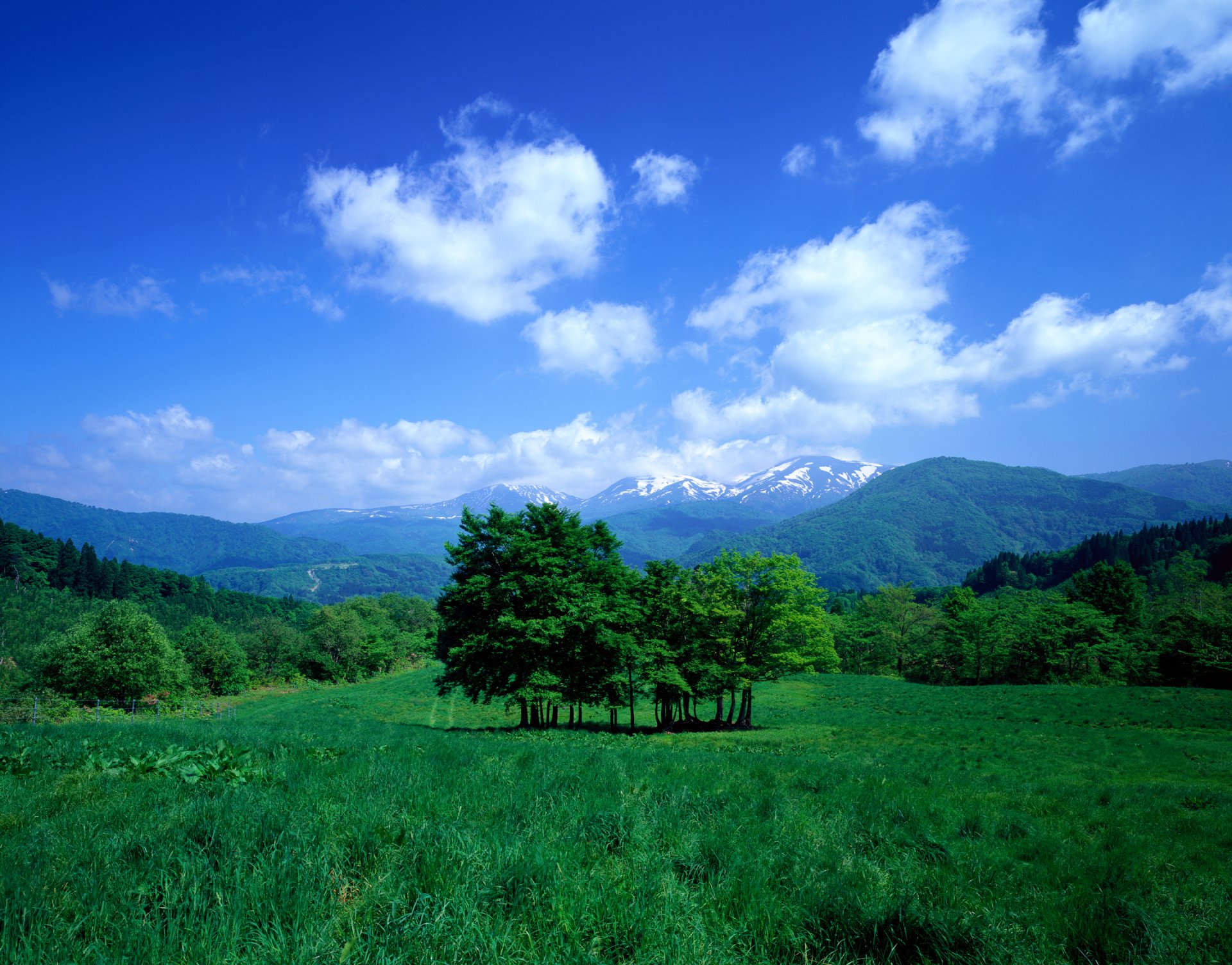 ky clouds mountain valley meadow grass tree