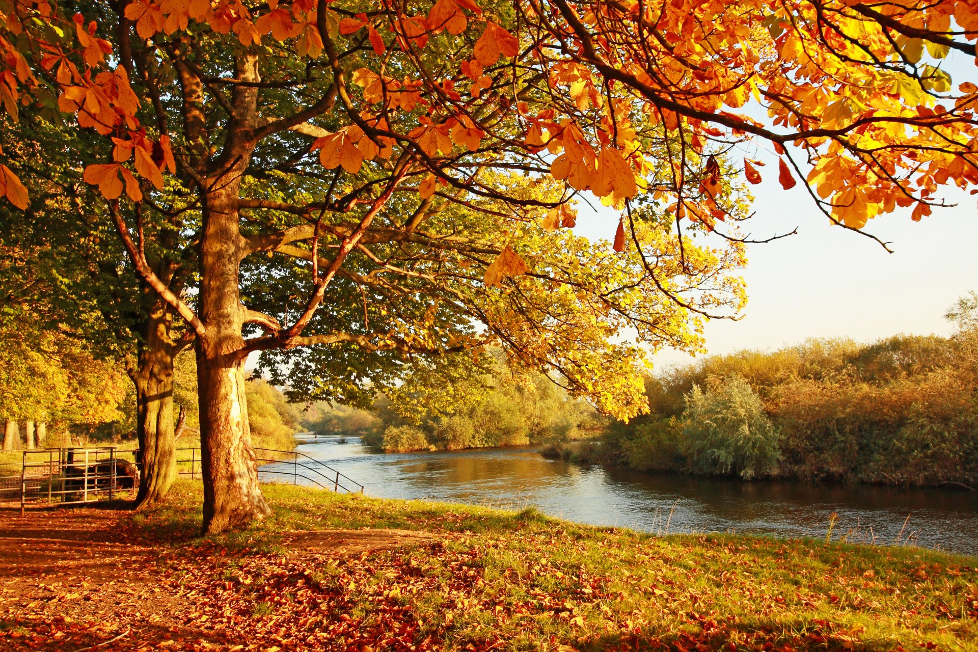 landscape trees foliage autumn water bridge reflection