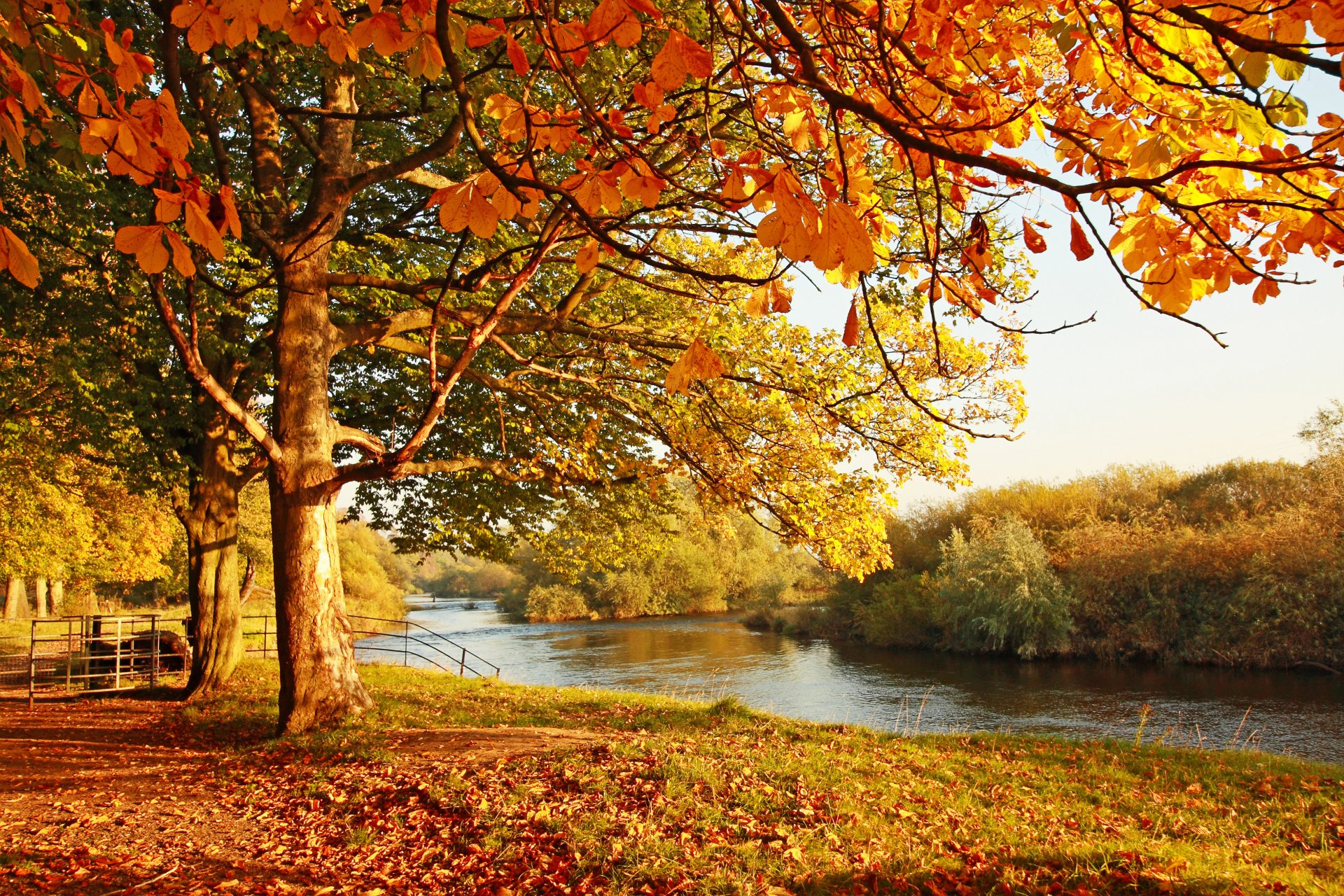 paisaje dereia follaje otoño agua puente reflexión