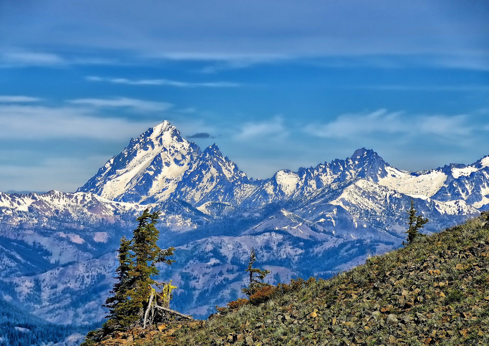 mount stuart washington mountain slope tree top