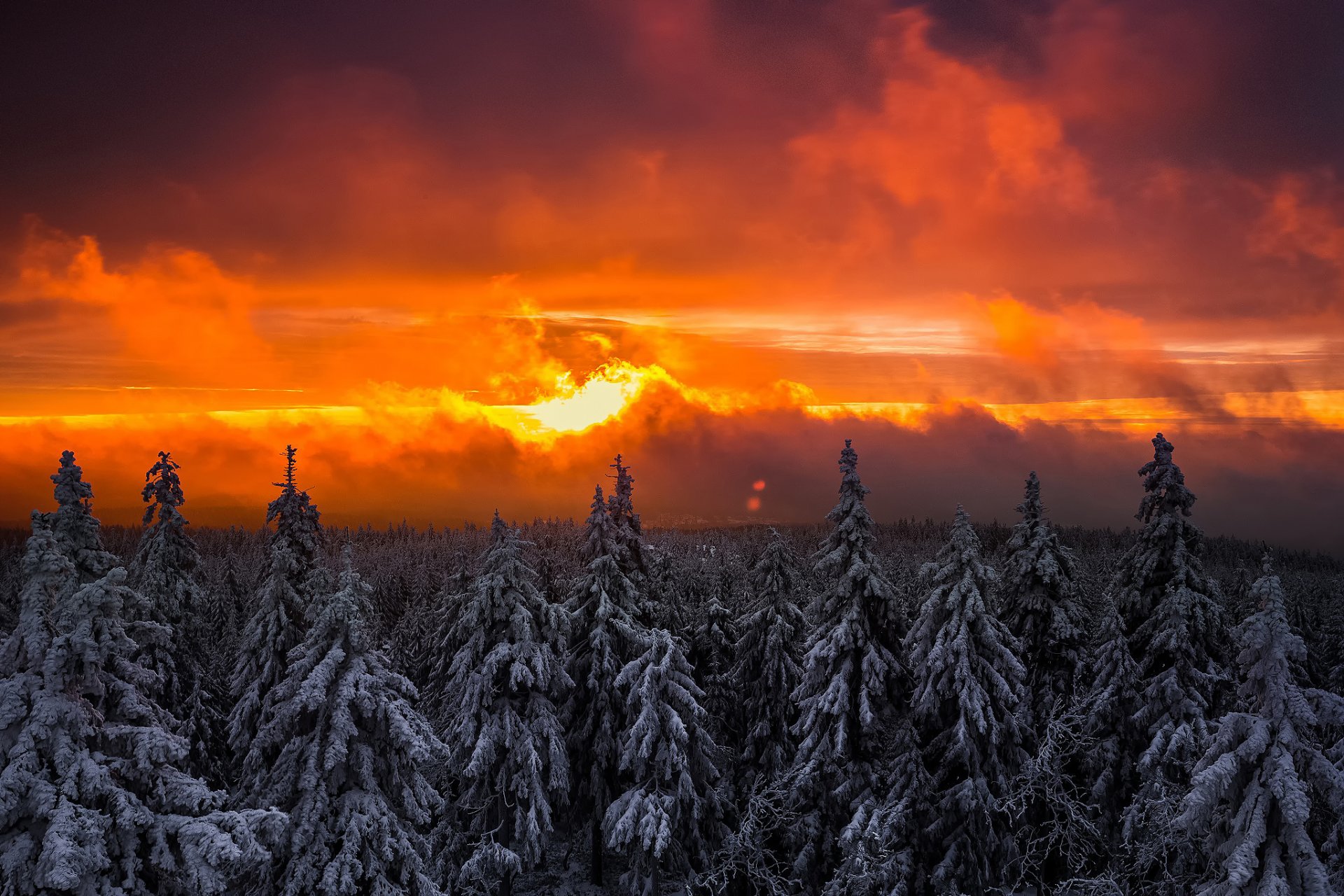 ciel soleil lumière coucher de soleil hiver forêt neige