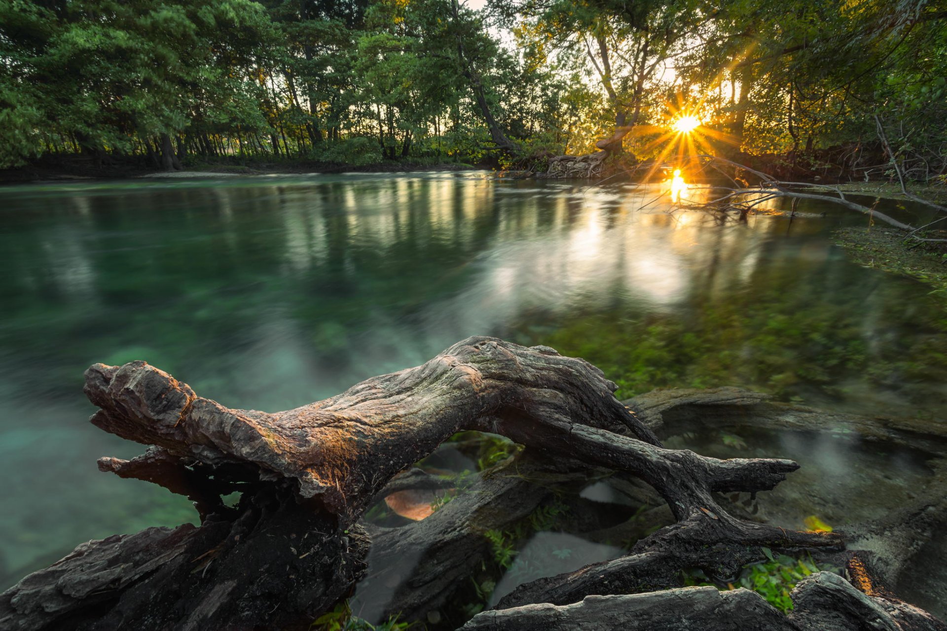 selva río mañana sol luz