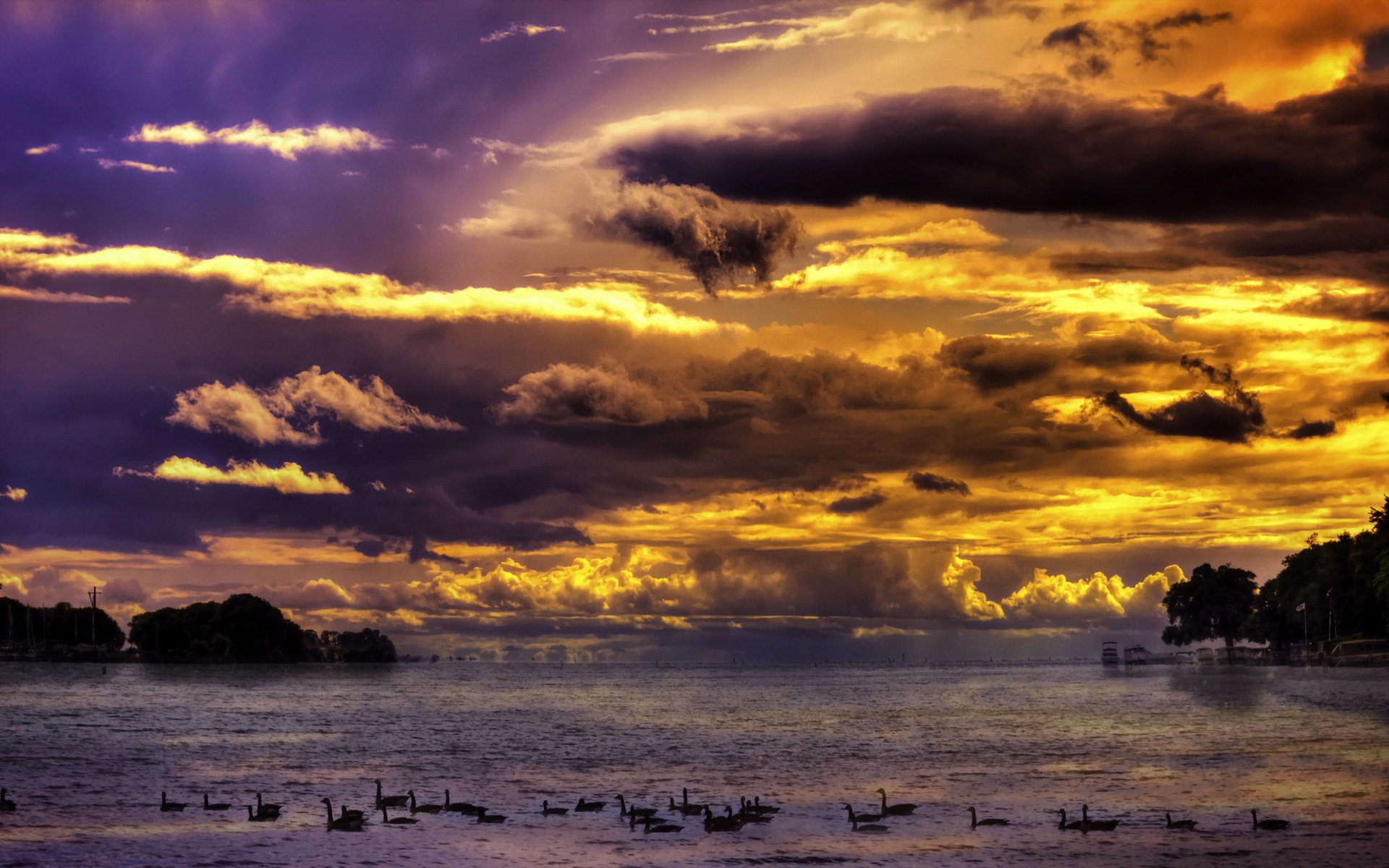 lake birds night sky landscape