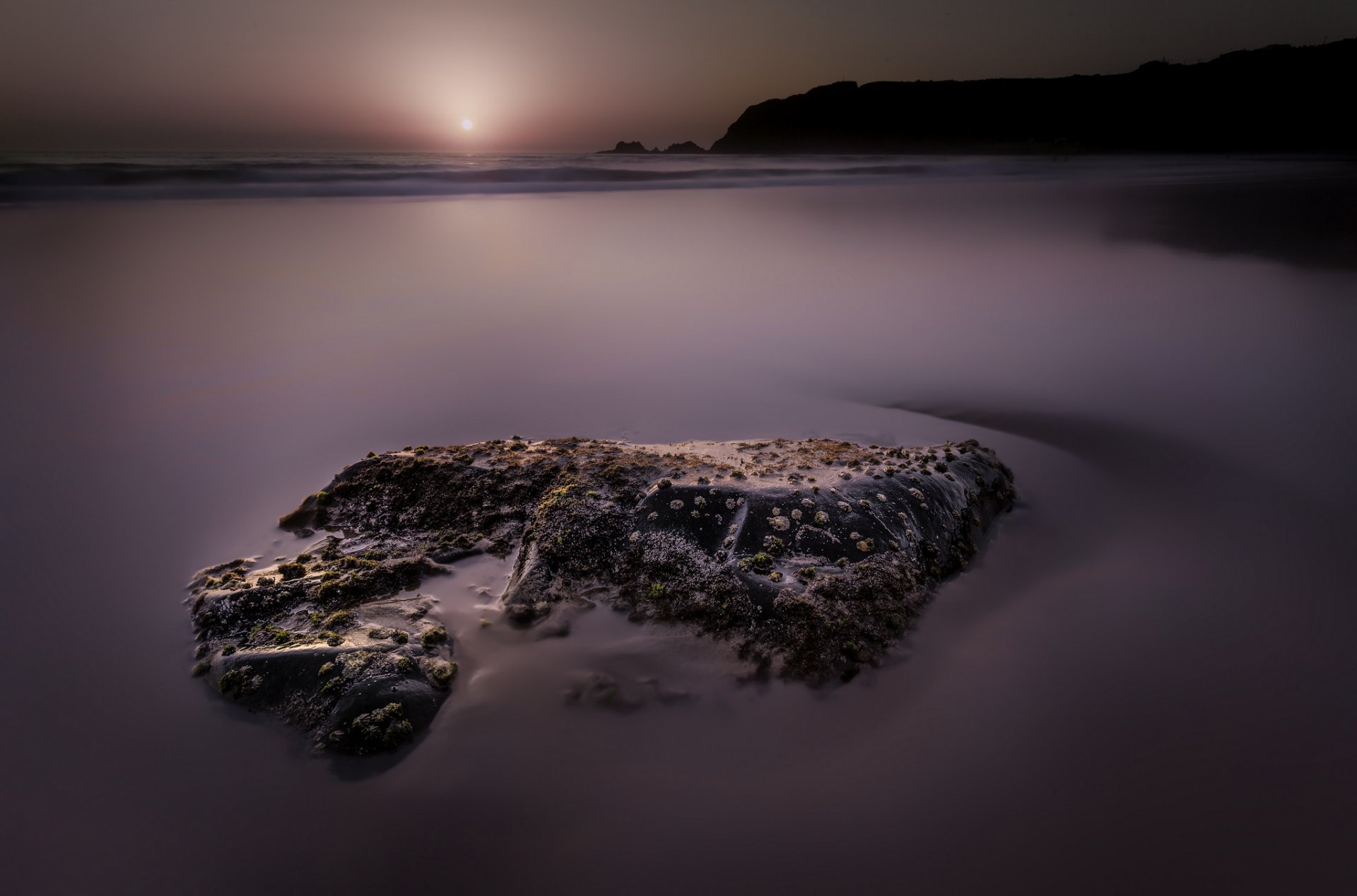 ea beach stone algae sun morning