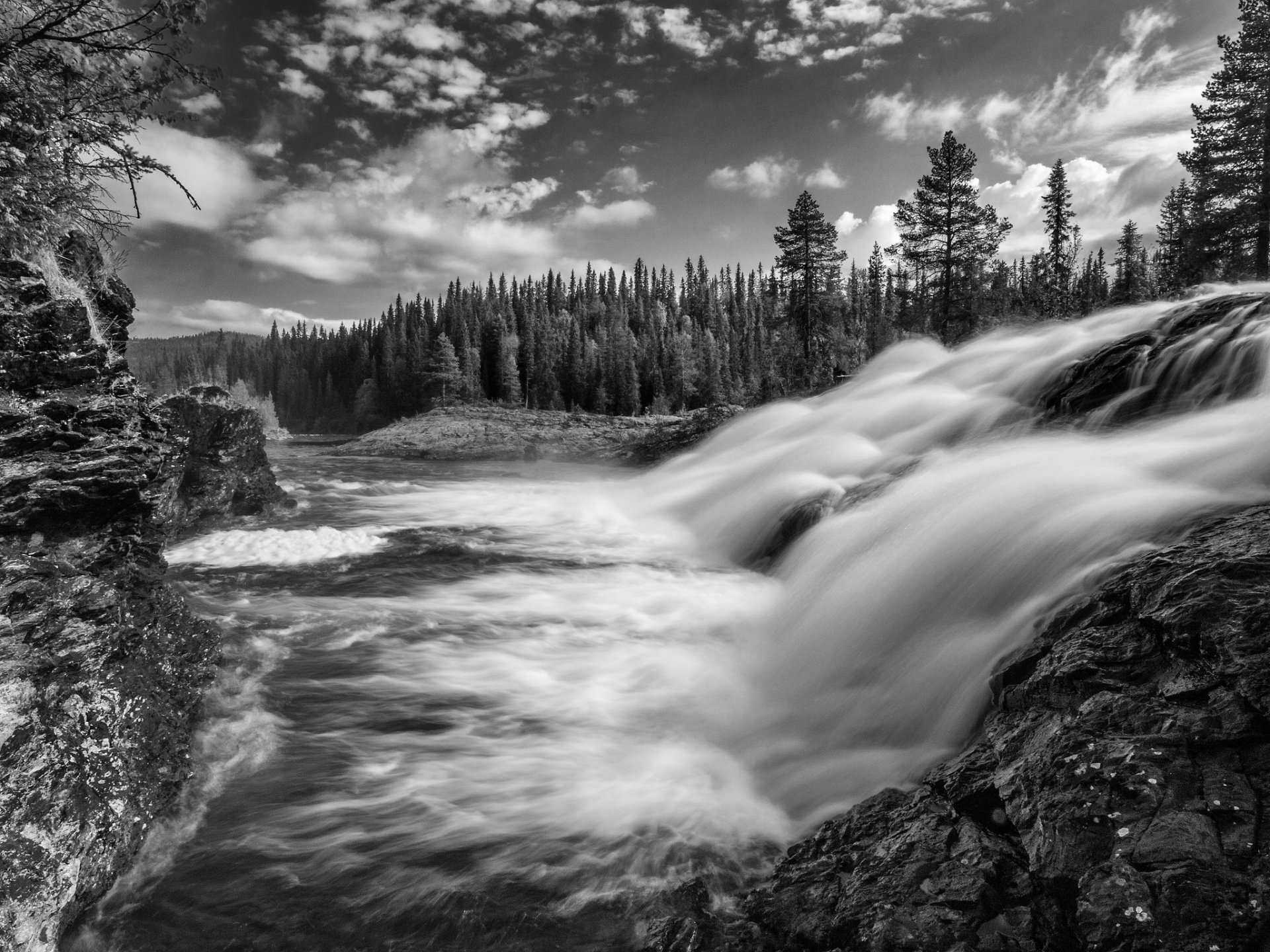 dimforsen västerbotten suecia corriente bosque cascada blanco y negro