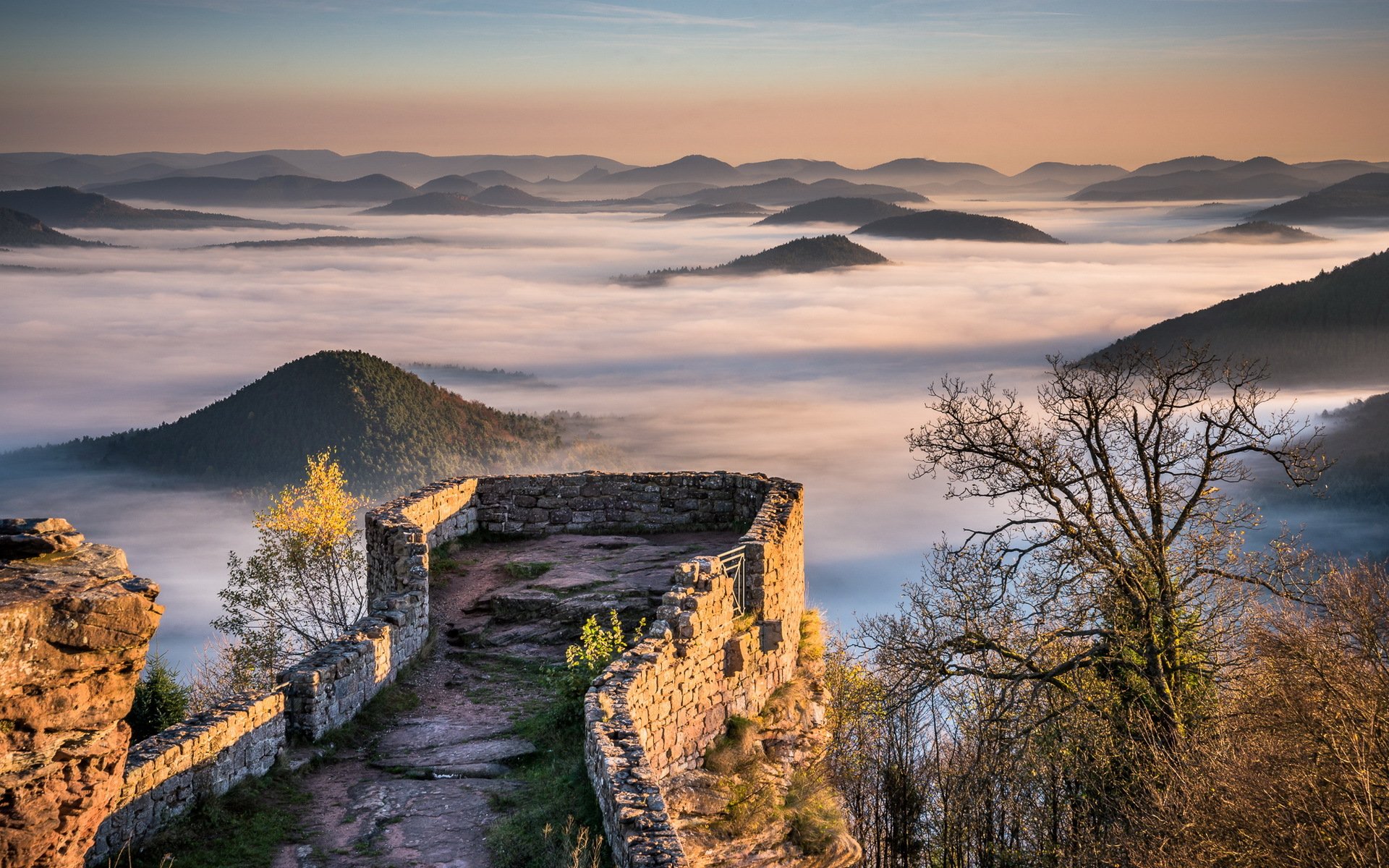 burg ruinen wald nebel hügel berge wegelnburg pfalz