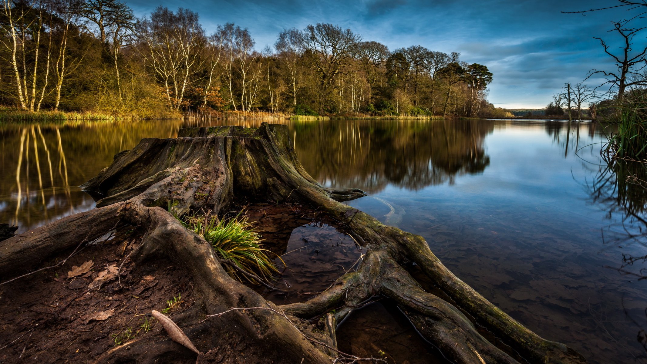 lac souche paysage