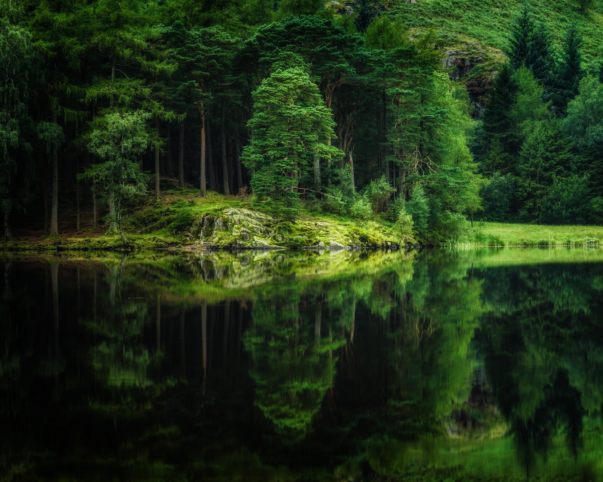 wald natur see reflexion bäume