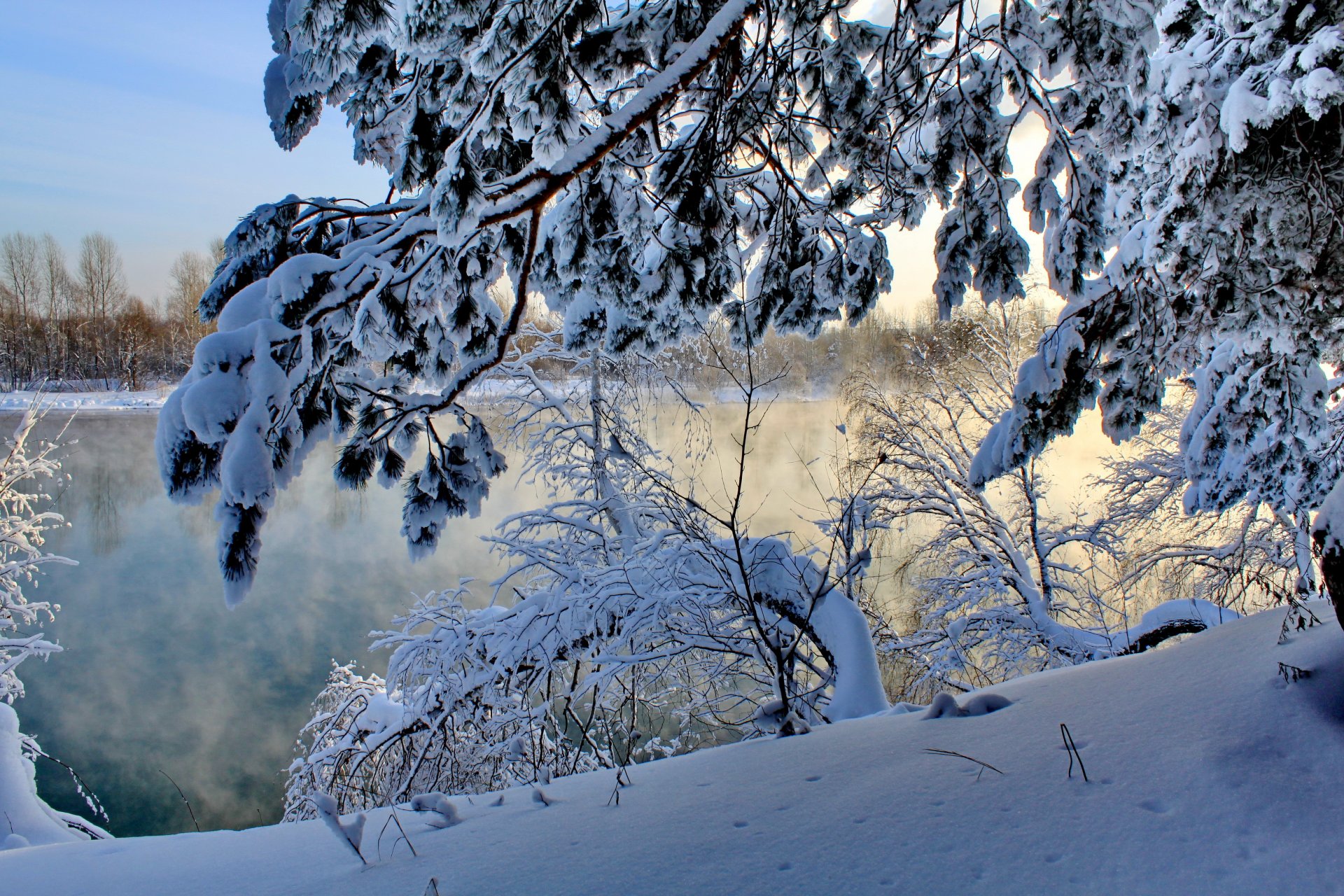 hiver rivière neige branches nature matin brouillard